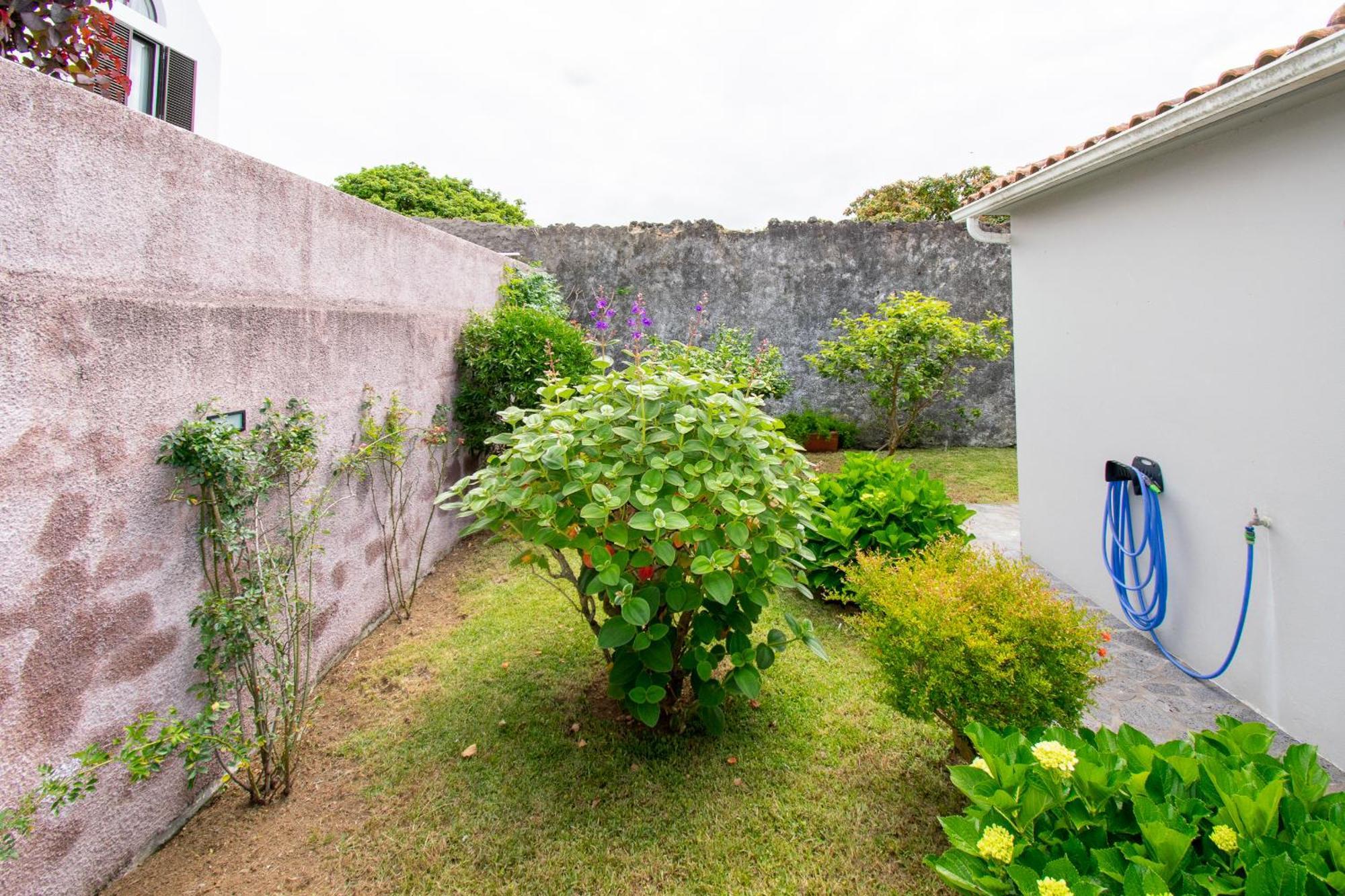 Atlantic Sao Paulo - Nature In The City ポンタ・デルガダ エクステリア 写真